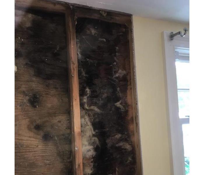 Mold growth in wall.