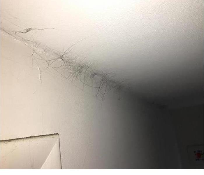 Soot webs on ceiling.