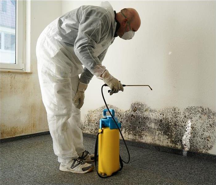 Professional technician removing mold in an apartment wearing protective gear