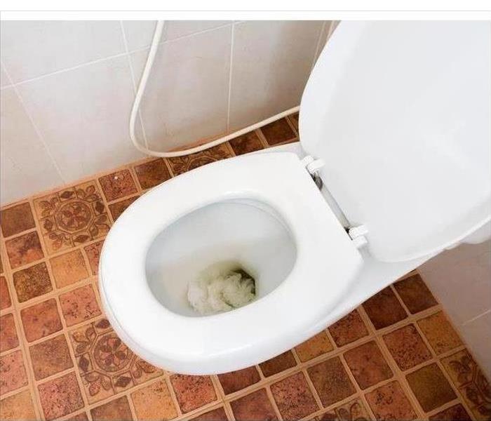 Clogged toilet, toilet paper inside toilet bowl